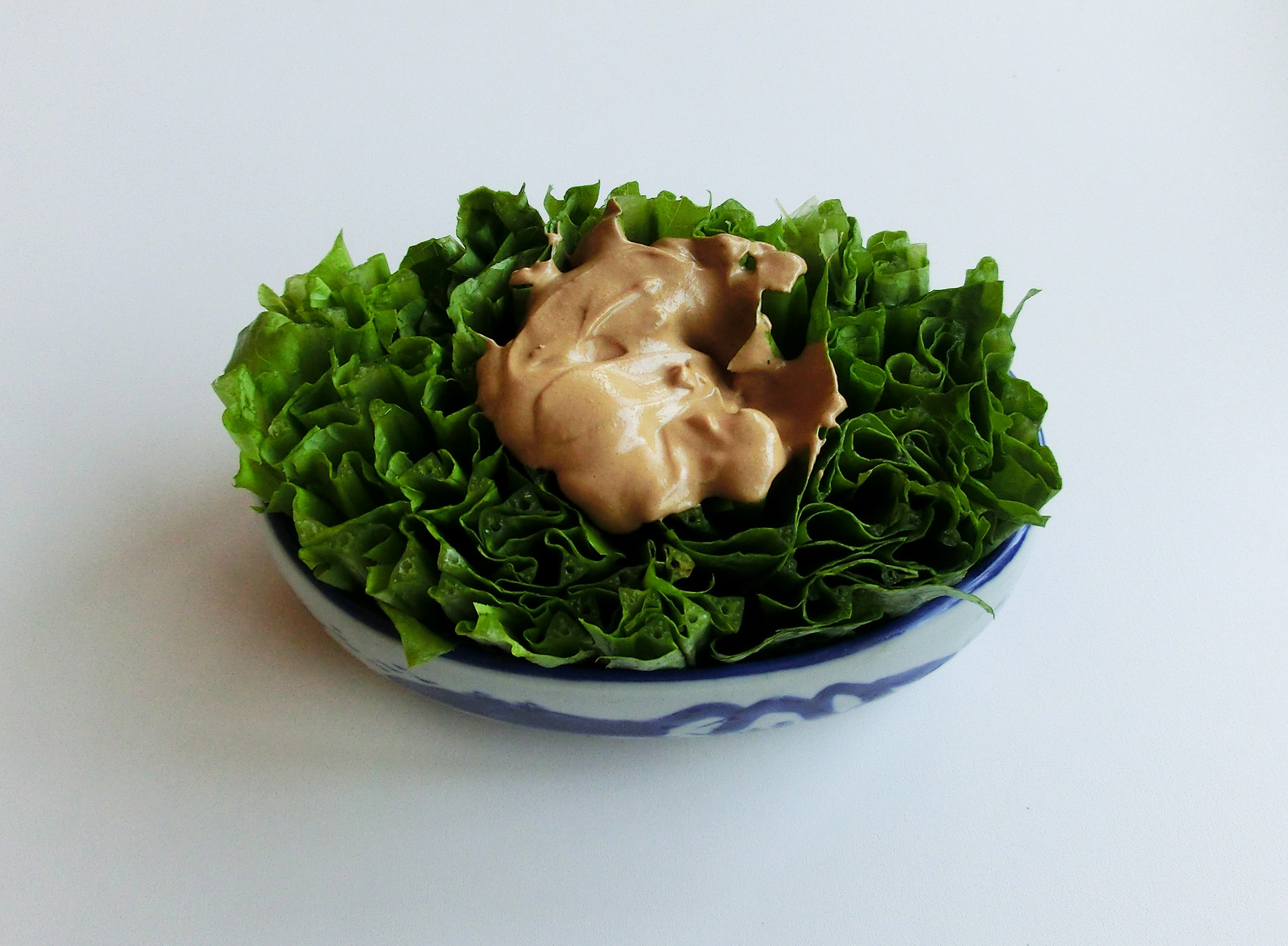 春季上火了吃什么菜降火最快,夏季上火吃的清淡的菜谱