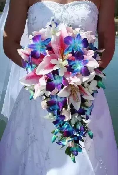 十大天价植物种子,十大顶级名贵植物