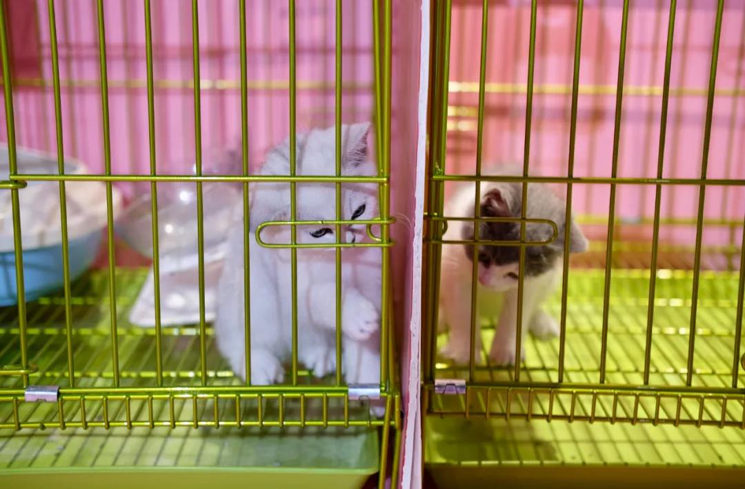 焦虑能去海口旅游吗,觉得焦虑就出来散散心