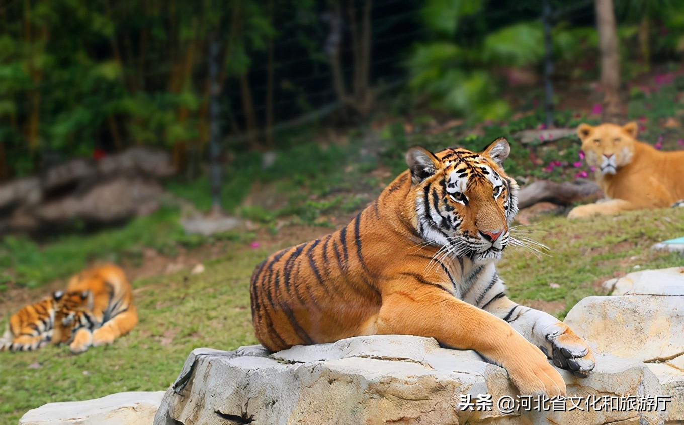 11月北戴河一日游最佳攻略,北戴河假期去哪里玩