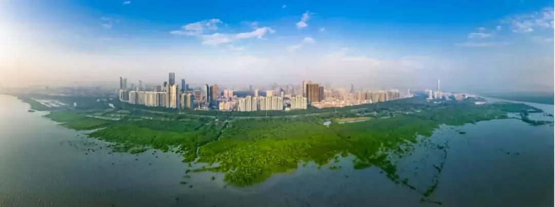 绿景红树湾壹号b座开盘,绿景红树湾壹号最新消息