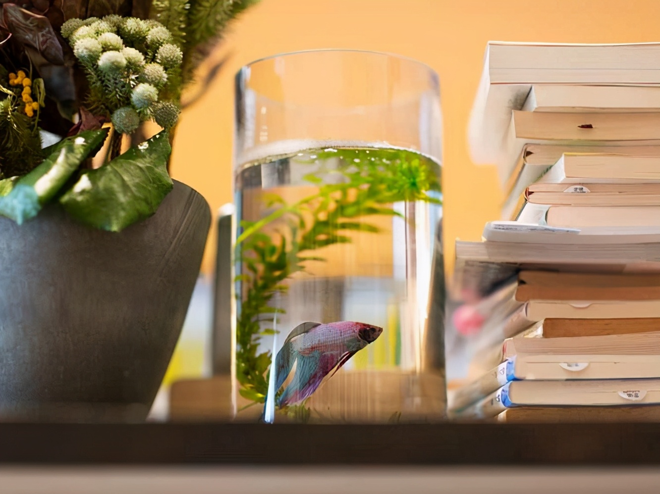 东京神保町，“无用之用”摆放着“或许有一天会有用的书”的商店