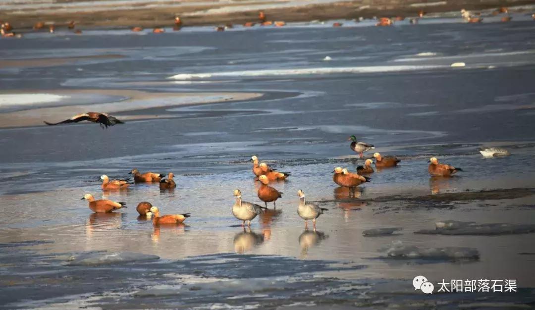 当石渠成为了一本书，你会从哪一页读起？