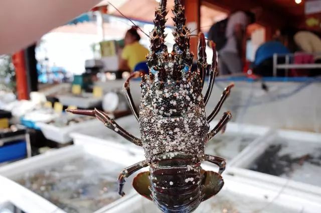 普吉岛值得吃的美食,普吉岛美食推荐最新