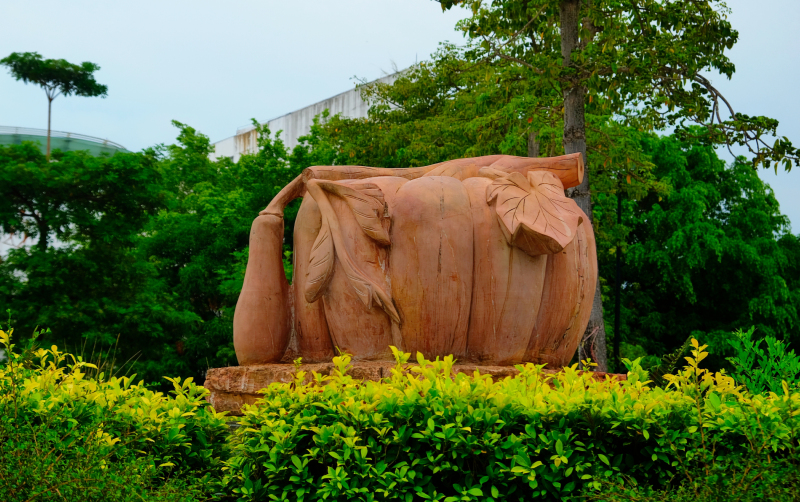 云浮小众旅游推荐,云浮小城