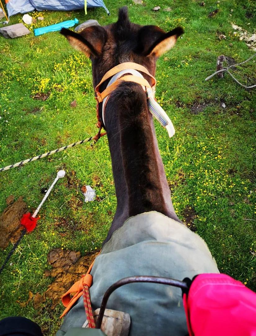 贡嘎山的徒步,贡嘎雪山大环线徒步游记