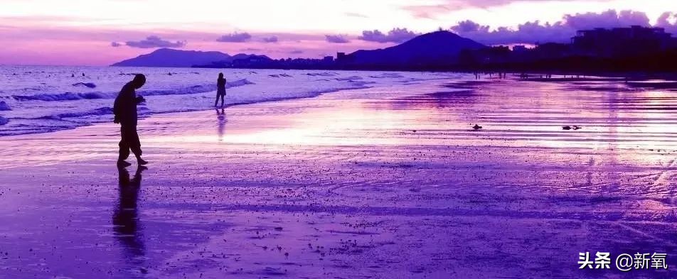 郭采洁香港风,郭采洁复古港风短发图片