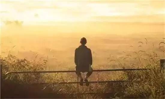 十二生肖传奇虎斗龙,虎斗龙演示