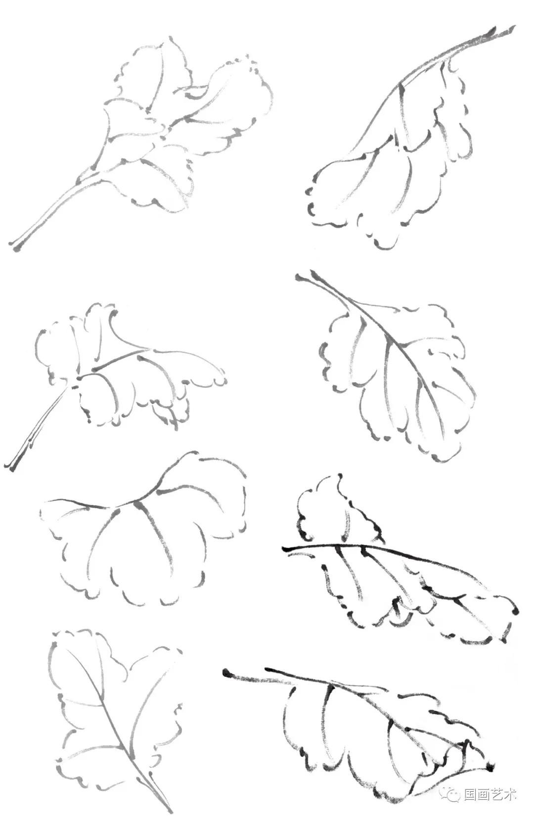国画写意菊花龙爪菊,写意菊花画法教程简单