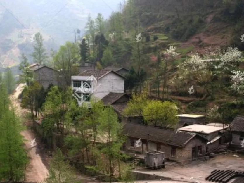 七十年代贫困农民图片,七十年代农民修梯田图片