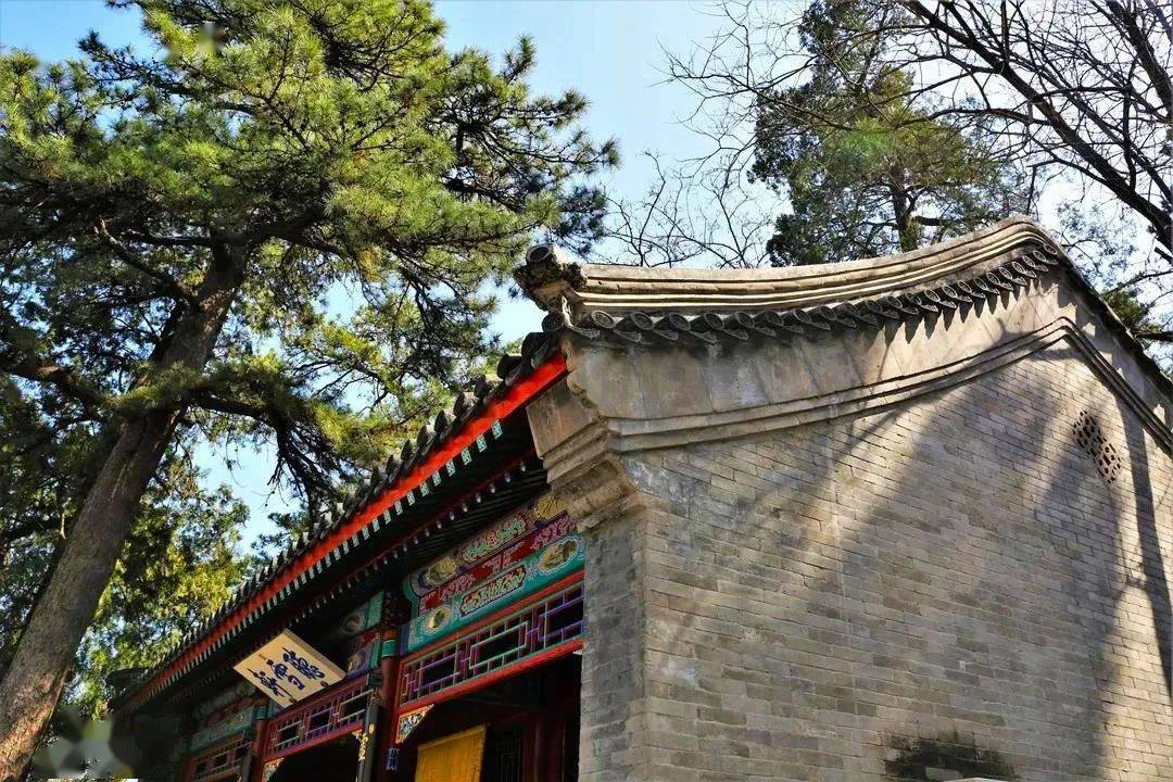 古建筑屋顶装饰构件,中国传统建筑屋顶