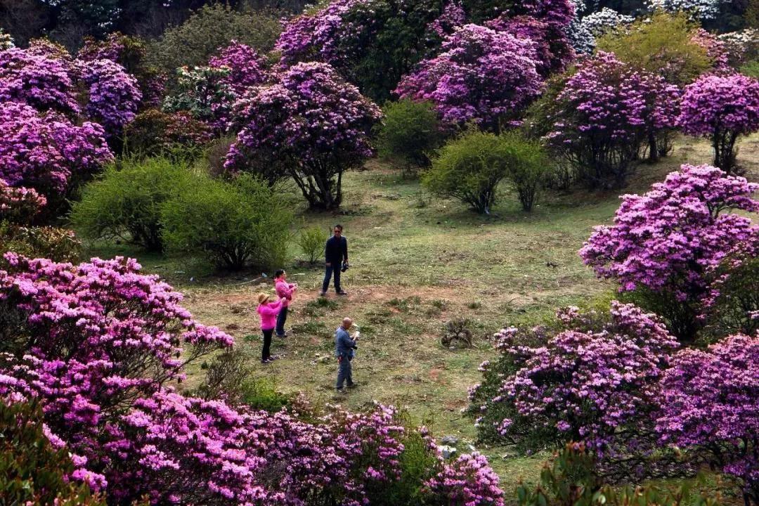 云南十大公路自驾游,云南自驾5条最佳线路图