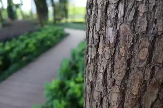 浣宠兘powershotg5xmarkii缂虹偣,浣宠兘powershotg5xmarkiii