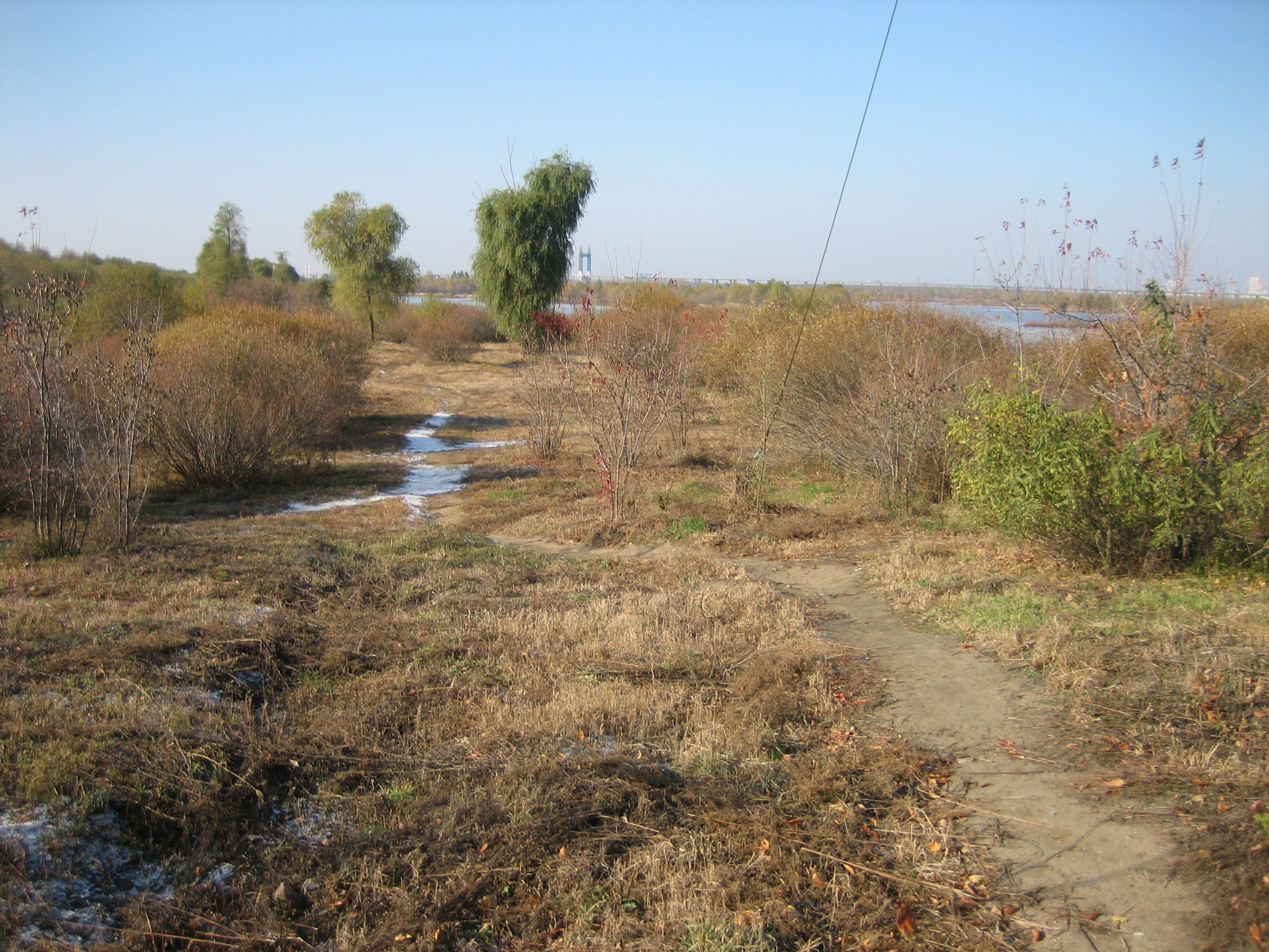 我钓鱼时常遇到的那位高手老黄，钓法出其不意，鱼获总是很多……