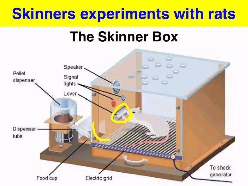 坤鹏论,坤鹏论炒股