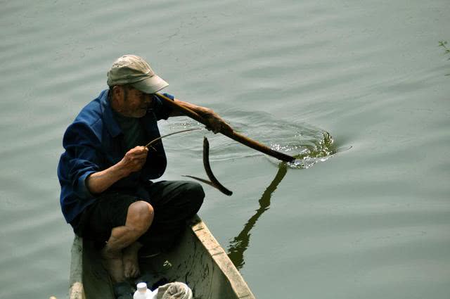 为什么河岸边石头缝里钓到的黄鳝更肥更大?老头给了我答案
