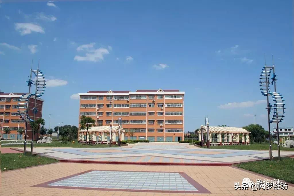 世界500强潍坊,潍坊入选高中500强