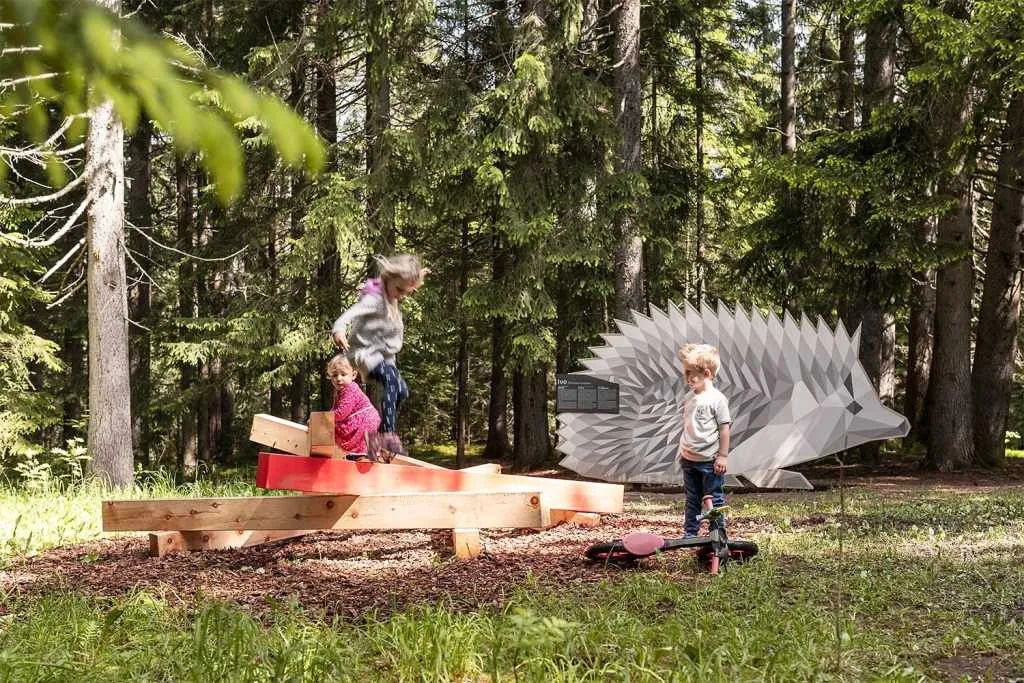 萌宠上阵，整个空间都奇趣了！