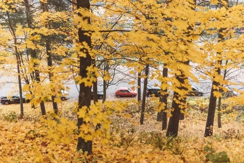 哪个国家的lv最便宜2019,在法国买lv包比中国便宜多少