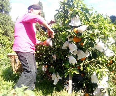 一见青心以书会友,一见青心店铺