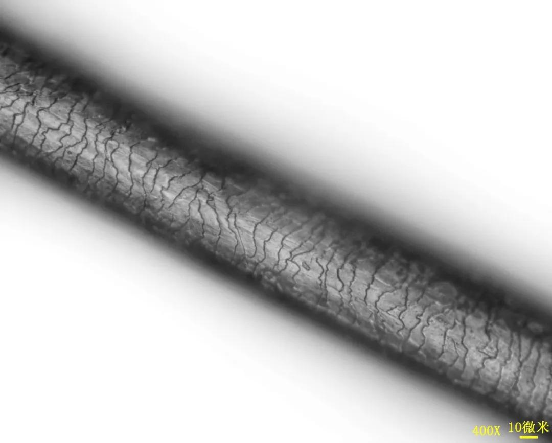 最详细的洗头教程,怎么才是正确的洗头方法