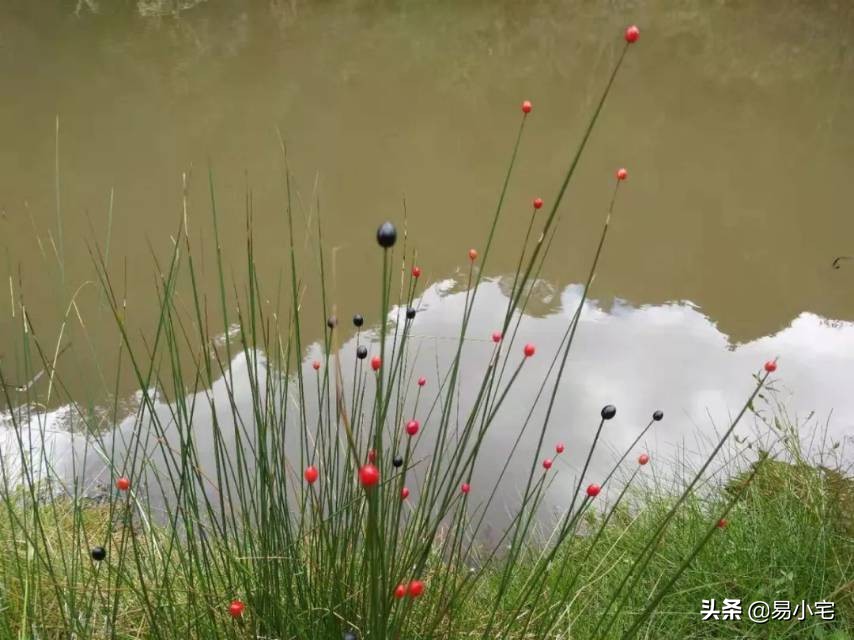 阿土|荒野生活/从城市白领到山中野人