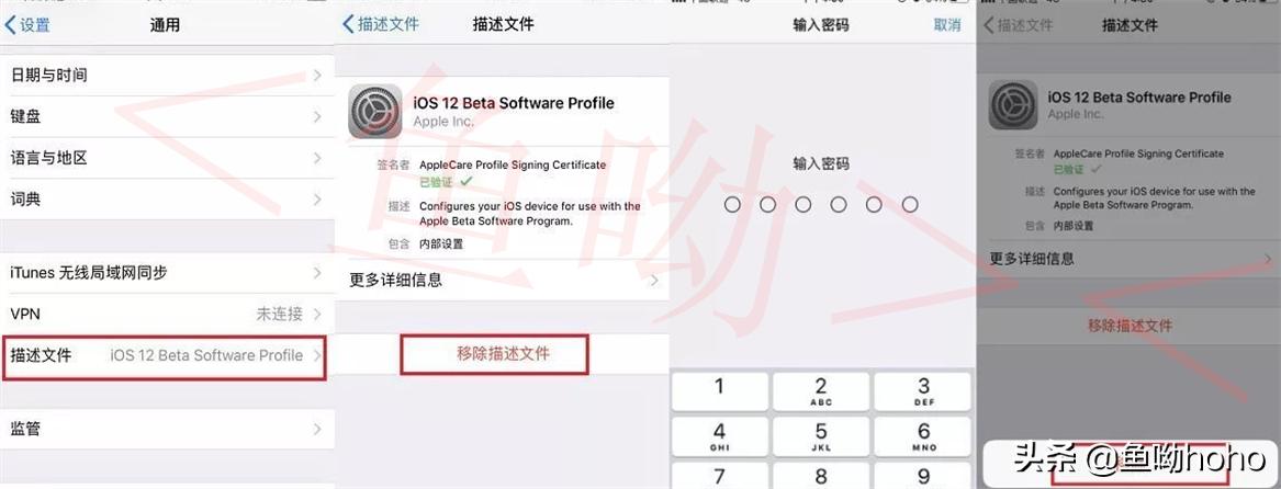 苹果科普简介视频,ios描述文件可以修改吗