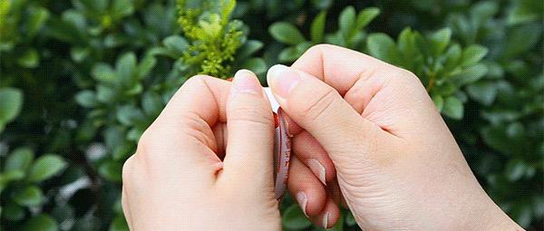 开个健达奇趣蛋盲盒,健达奇趣蛋圣诞礼盒盲盒