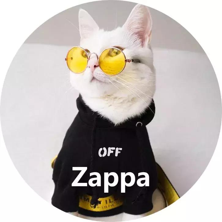 gucci和supreme联名马丁靴,guccisupreme鞋子