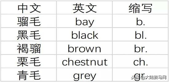 马也有护照？中国、日本的最好辨认，法国居然这么写！