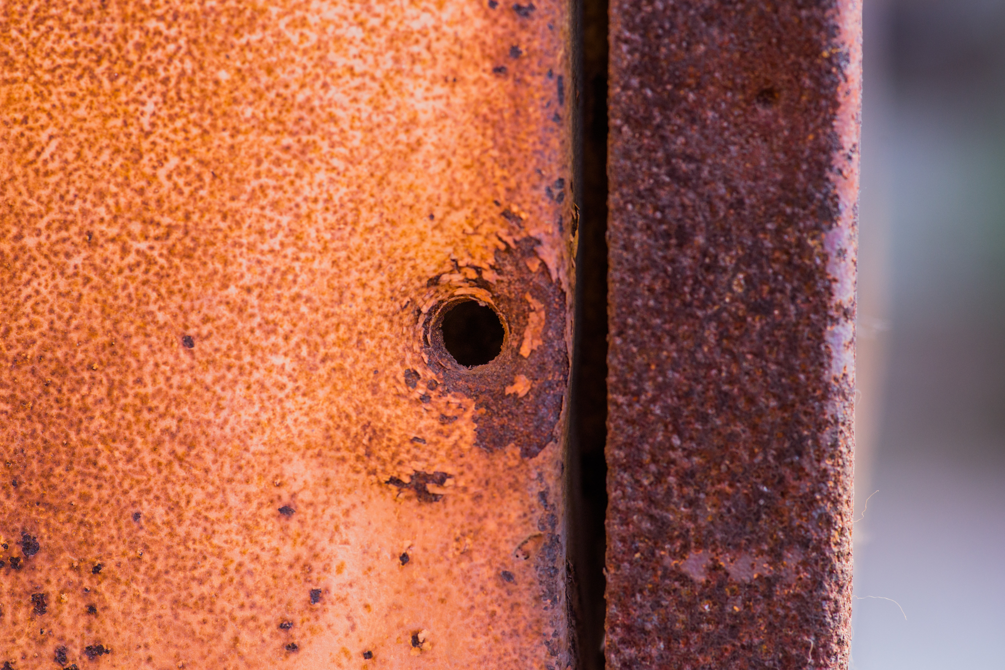 国产复合弓新手推荐,测试复合弓威力到底有多大