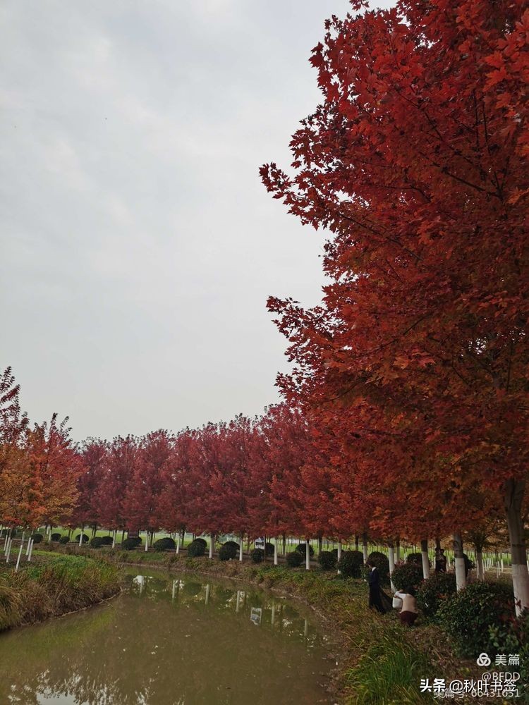 热心公益事业承担社会责任,热心社会慈善公益事业