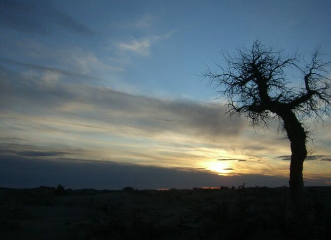 成都到额济纳旗五日游,南京到额济纳旗旅游攻略