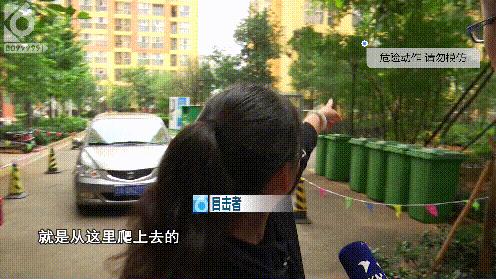 妈呀视频完整版,妈呀视频