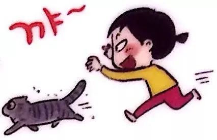 训练猫时可以给猫吃什么,训练猫捕食