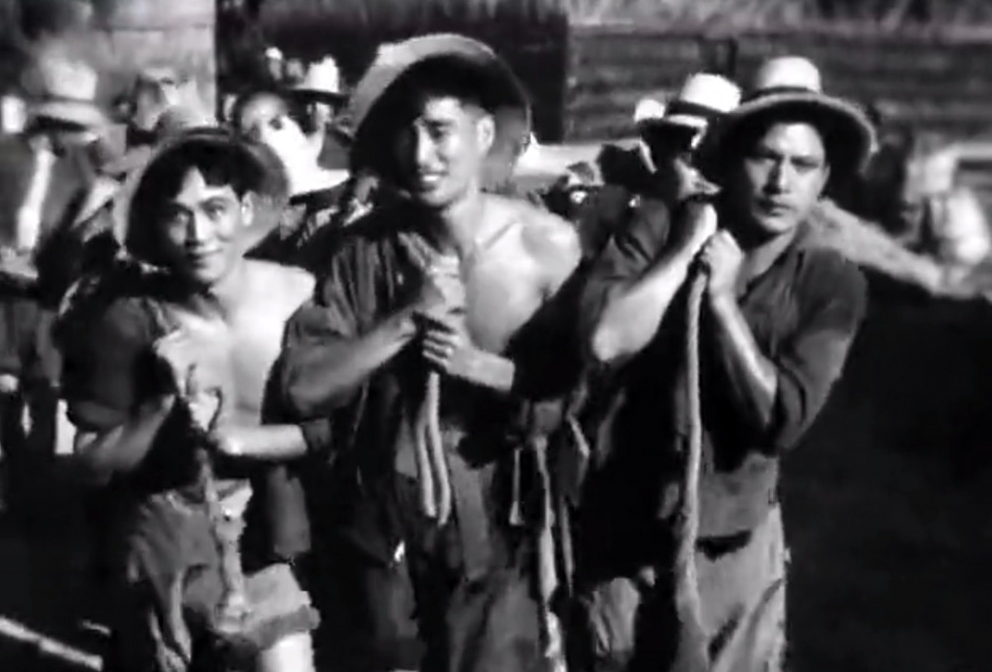 上影厂拍摄的老演员是谁,80年代上影厂3位美女明星