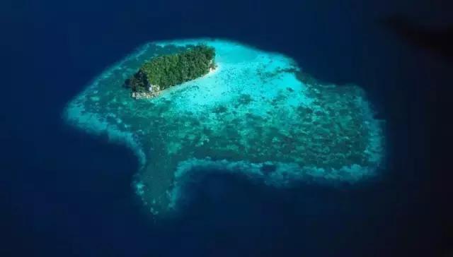 巴厘岛鸟园旅游攻略,大连至巴厘岛旅游自由行攻略