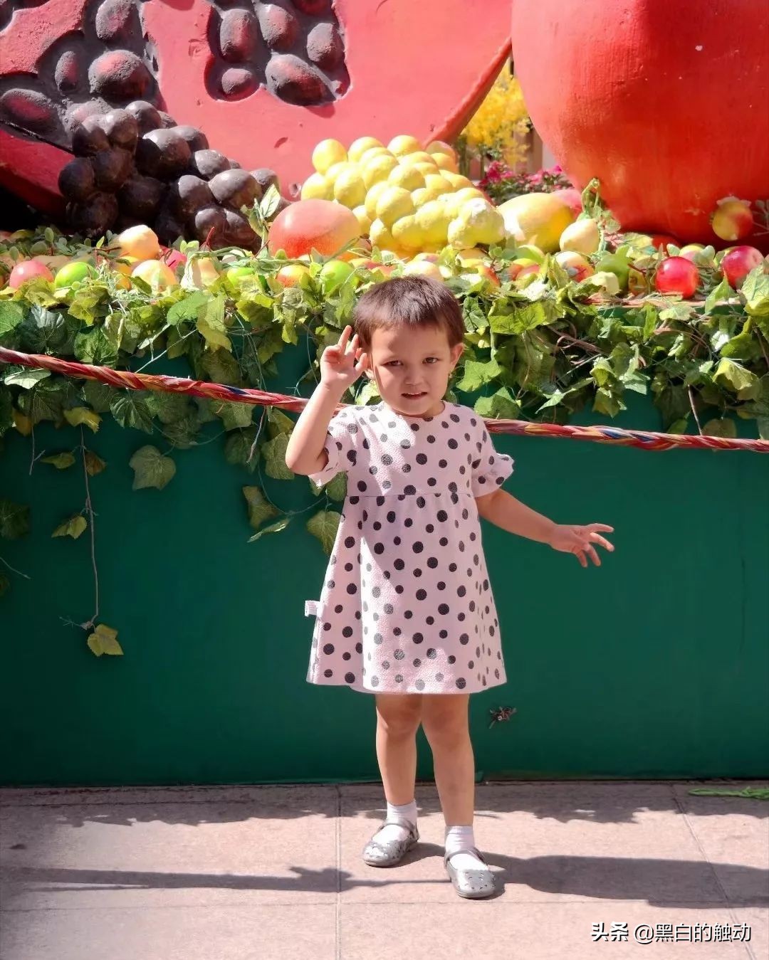 都说新疆好去新疆发展可靠么,都说新疆好地方