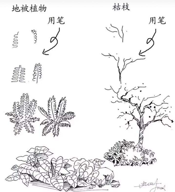 速写风景初学者入门教程炭笔,6-12岁儿童风景速写课程入门网课