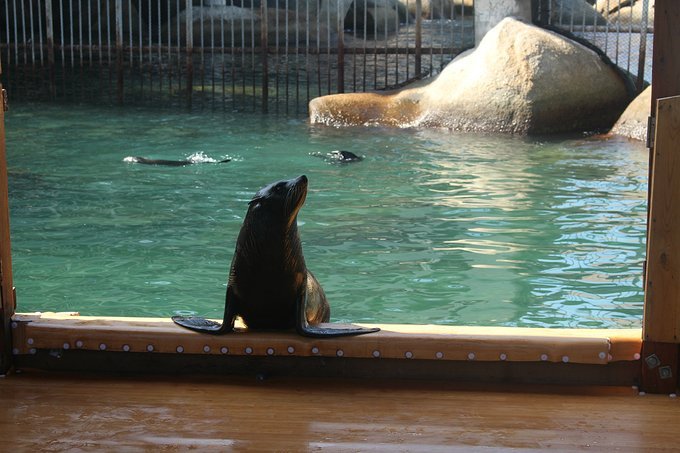 给自己一个度假的理由海南三亚,三亚度假的天堂