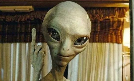 斯芬克斯无毛猫脖子起疙瘩,斯芬克斯无毛猫多少钱一只