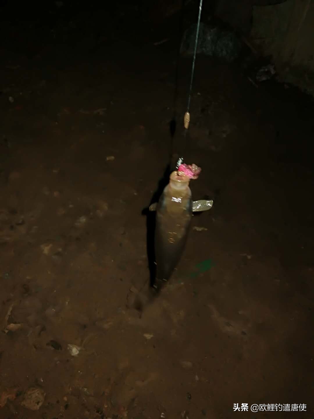 钓鱼也是一种技术,科学钓鱼的基本原理