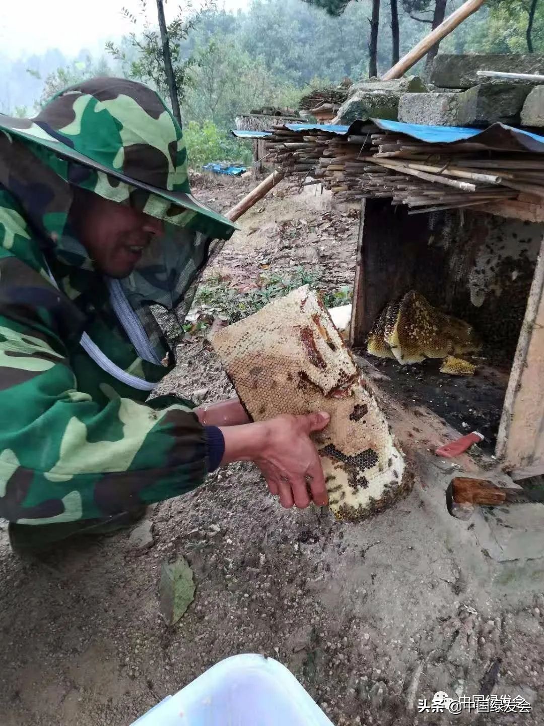 助力蜂农防疫情,拼多多助农战疫的原因