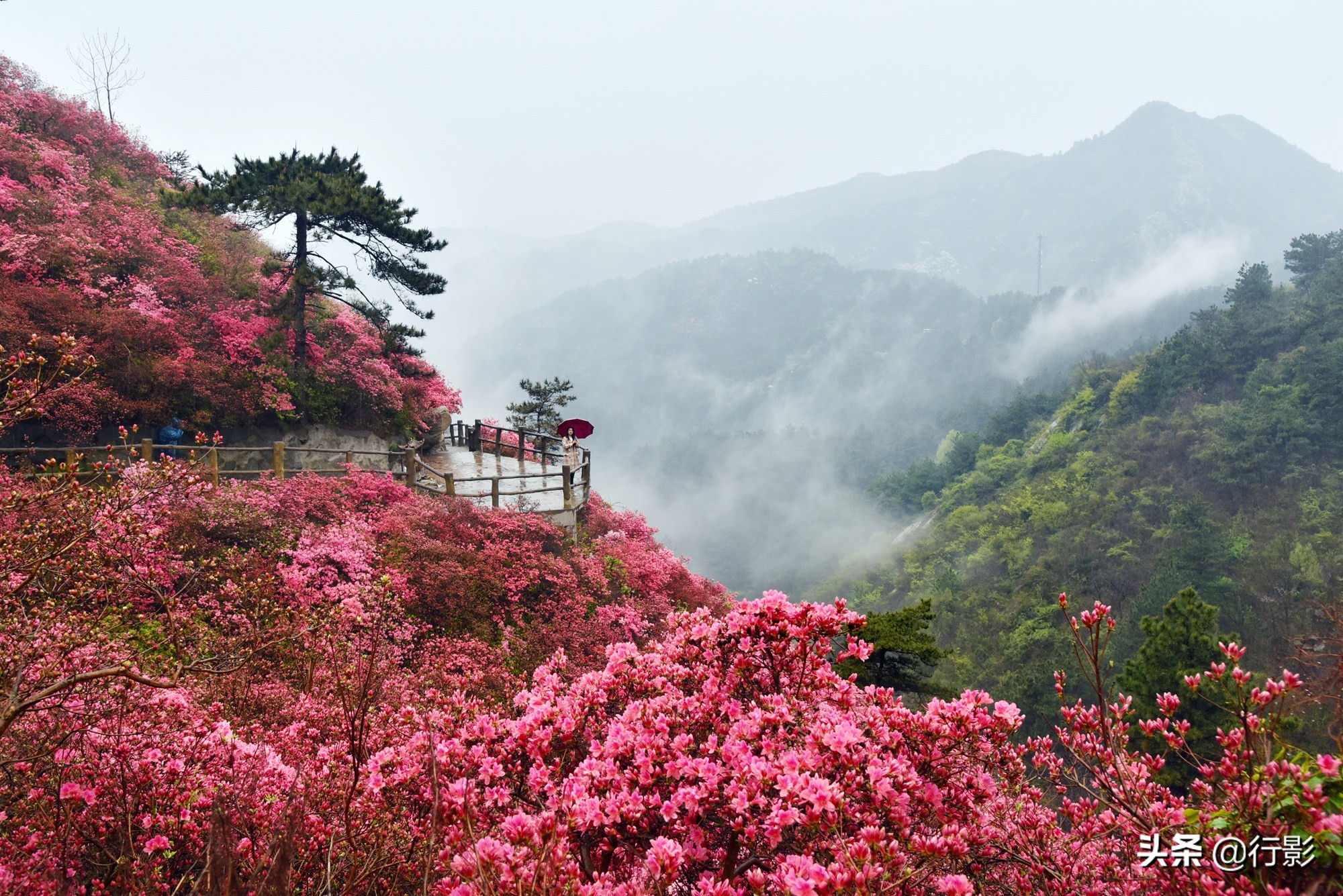 武汉青山网红打卡景点,云雾山武汉