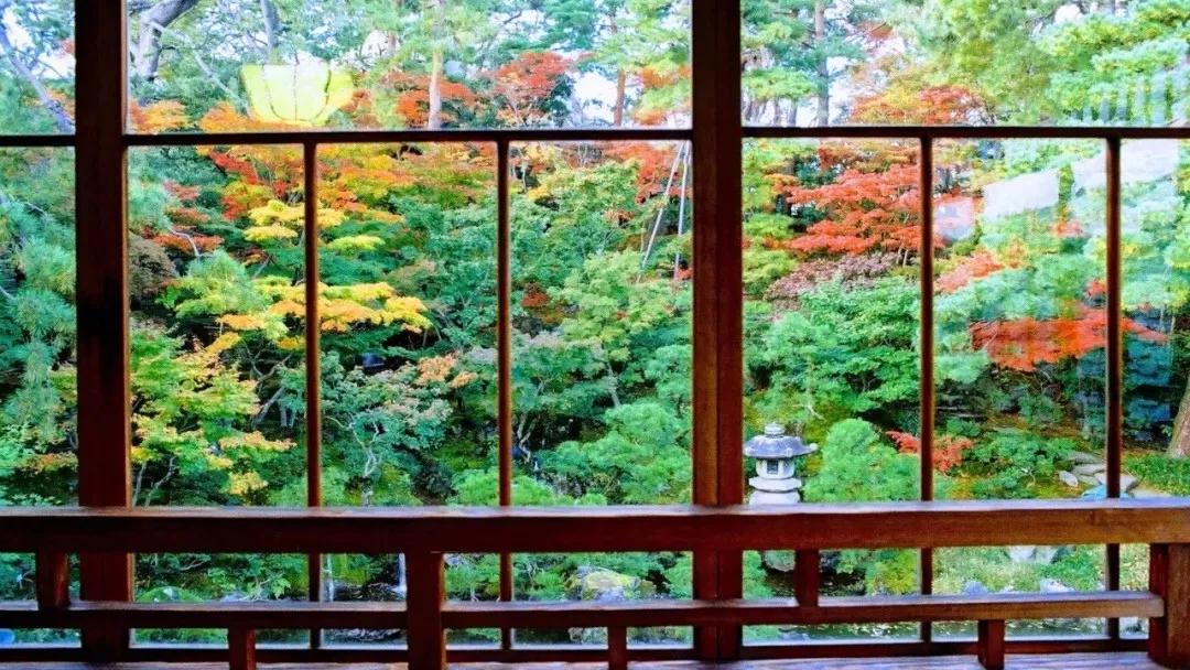 年度十佳微小说看完久久难以忘怀,年度十佳微小说的主题