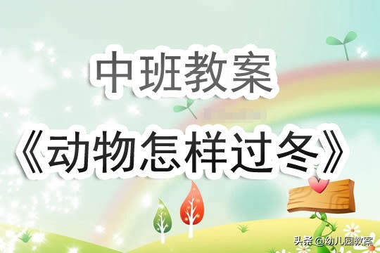 幼儿园教案动物怎样过冬活动反思,中班动物过冬教案