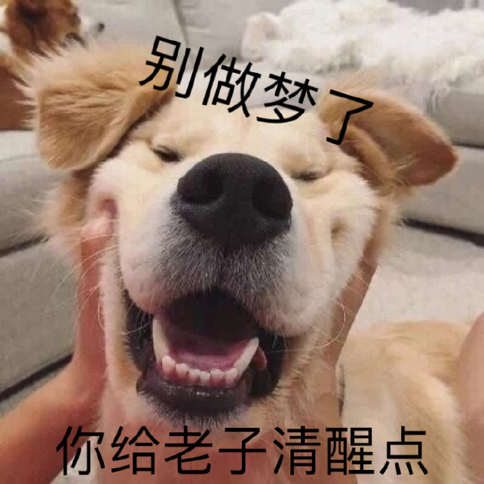 求工作表情包大全,感谢您对我工作的配合表情包