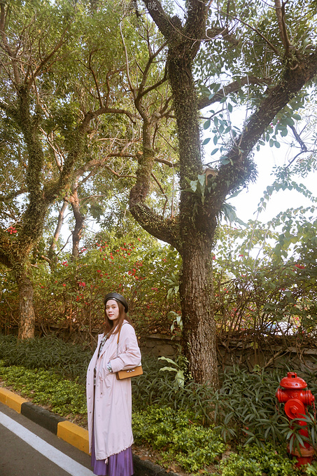 广州巴厘岛免费景点,广州温泉度假攻略