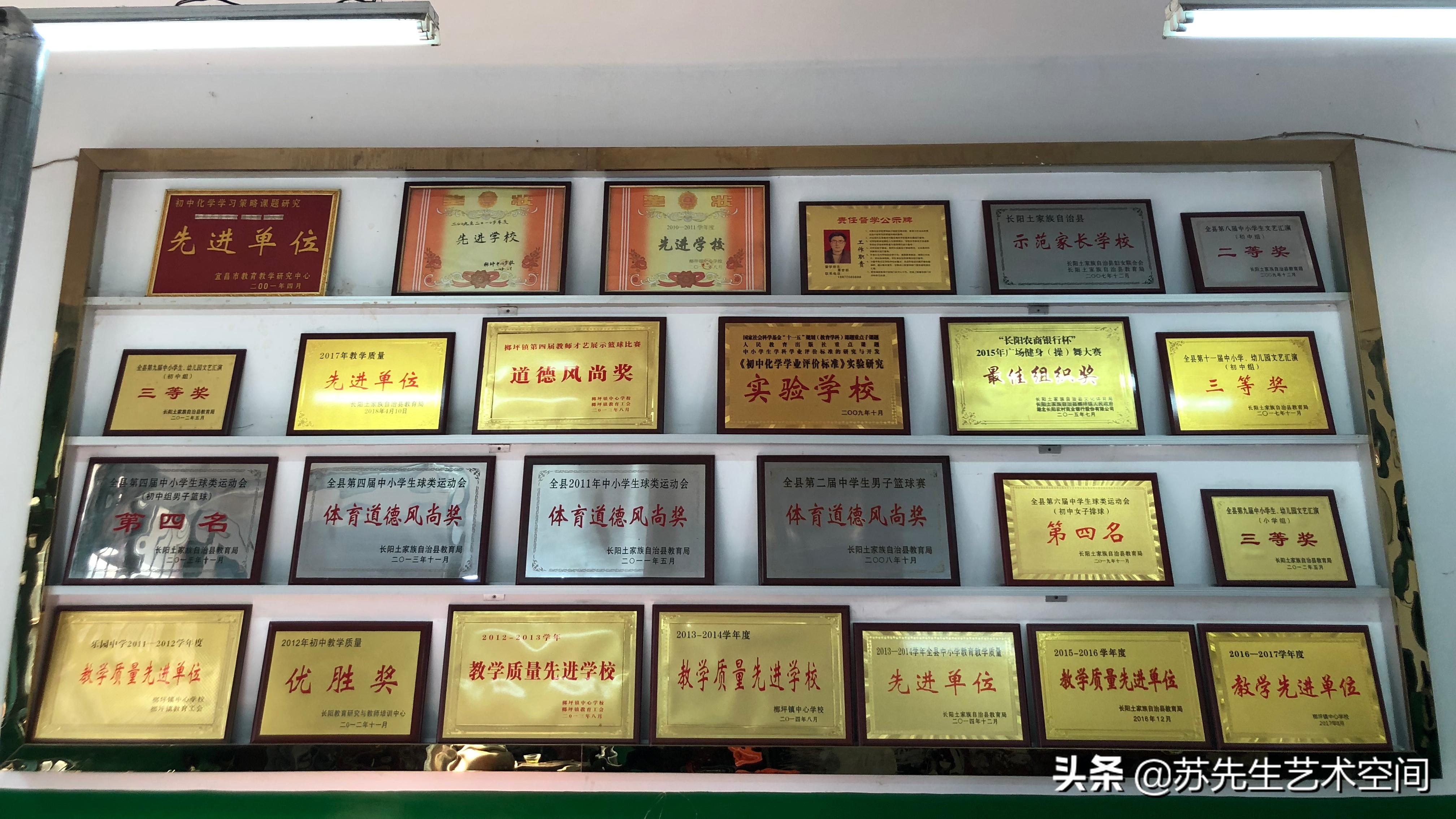 双十二艺术家走进乐园中学！网友感叹有一种情怀叫我们的母校