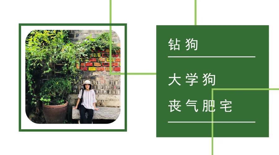 绿洲乐队迷墙吉他 (迷墙绿洲谱子)